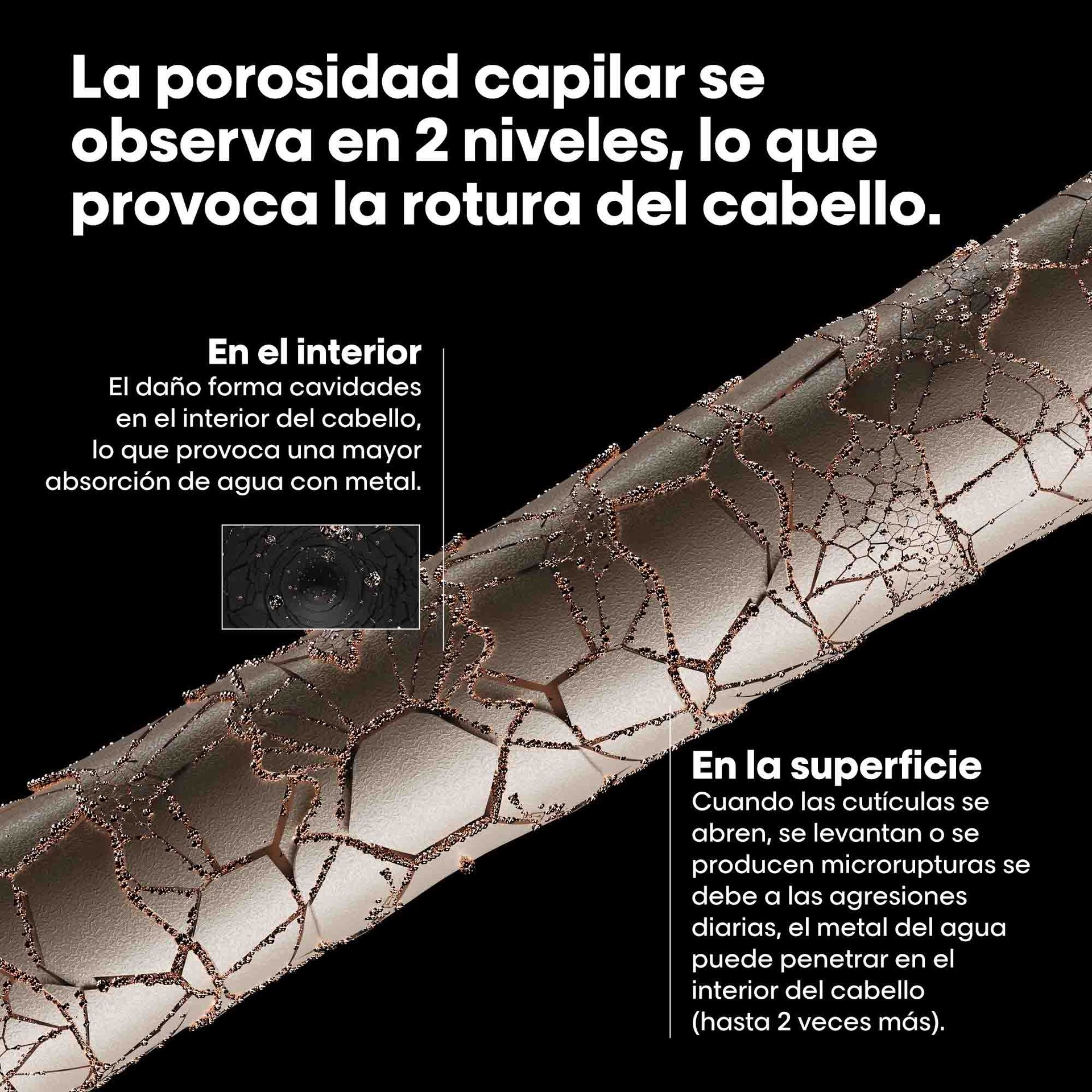 Alt: Como se ve el pelo quebradizo y sus causas